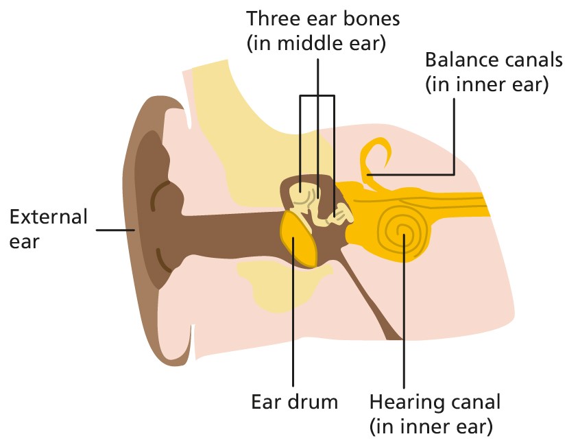 Eardrum Surgery in Turkey